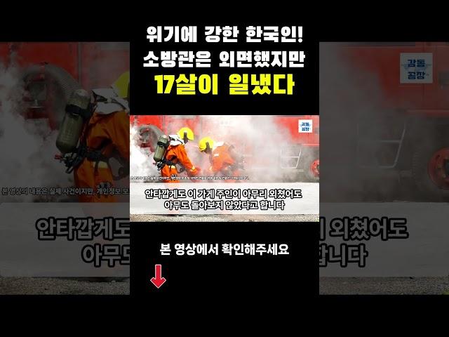 [해외감동사연] 미국 동네에서 까지 무시받던 일가족이 미국을 경악하게 만든 사연