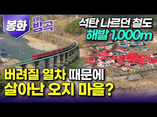 [경북 봉화] 해발 1,000m 사라질 위기의 오지 마을을 다시 살린 열차?┃ 빨간 지붕 가득한 한국의 스위스 '산타마을'┃우리나라 제일 작은 역 '양원역'┃#고향민국 #방방곡곡