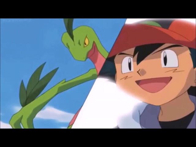 Ash's Treecko And Loudred Evolve