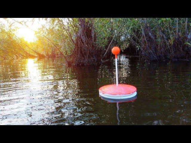 Fishing for carp on mugs