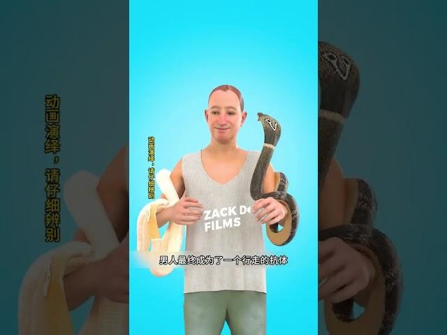 男人每天都往自己体内注射蛇毒,最后竟免疫蛇毒! #科普 #科普一下 #动画 #动物解说 #动物世界 #内容启发搜索 #动物科普