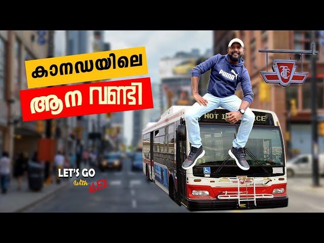 Canada Bus Service | കാനഡയിലെ ആനവണ്ടി | TTC | lets go with Alex | ALEX BABU