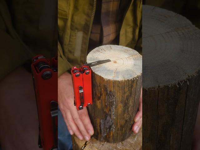 Survival skill: Great knife lifehack #lifehacks #bushcraft #camping