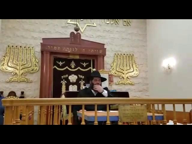 Rabbi Ronen Shaulov Q/A