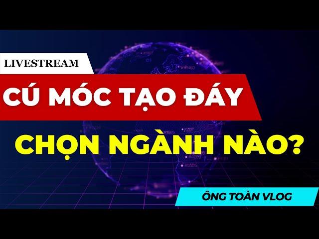 Chứng khoán hôm nay | Nhận định thị trường: CÚ MÓC TẠO ĐÁY - CHỌN NGÀNH NÀO?