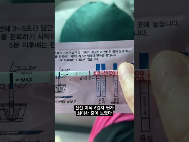 시험관 한번에 성공! 그리고 쌍둥이 임신 #쌍둥이#시험관#임신#난임