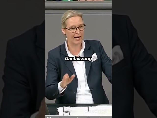 Alice Weidel stellt den 100 Tageplan der AfD vor! #afd