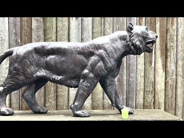 Cougar Mountain Zoo