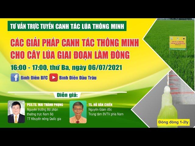 Các giải pháp canh tác thông minh cho cây Lúa giai đoạn làm đòng