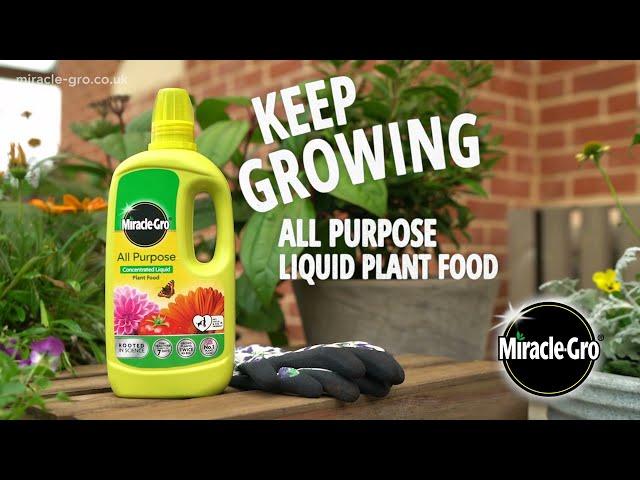 Miracle-Gro® All Purpose Concentrated Liquid Plant Food