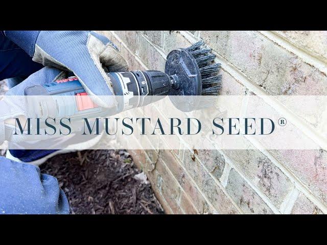 How to remove roots & staining left by ivy without damaging the brick & mortar
