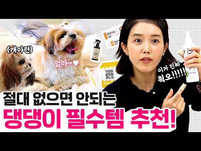 [ENG] 광고반려견 용품 추천‍️ㅣ 강아지가 더 좋아하는 용품ㅣ이거 없음 손떨려템  Recommended Items for Pets 