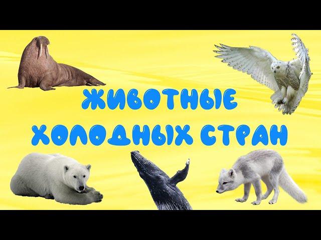 Животные холодных стран | Развивающее видео для детей | Карточки Домана