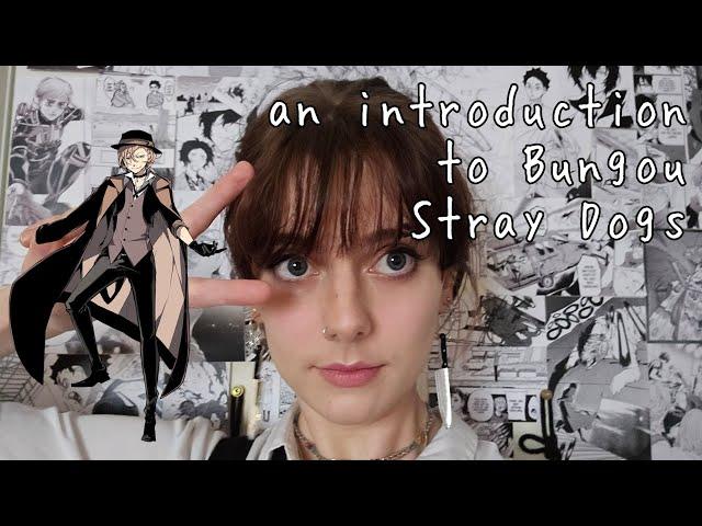 stepping into the world of bungou stray dogs