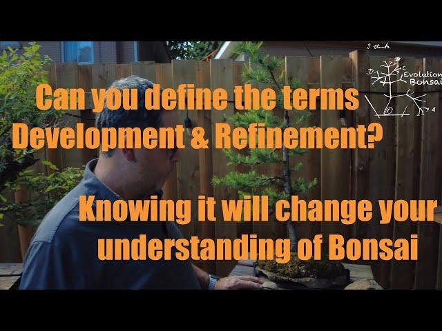 Bonsai development and refinement defined