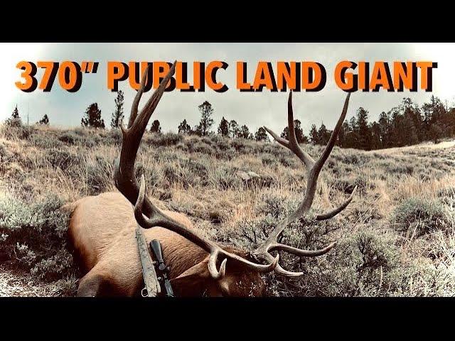 370" PUBLIC LAND GIANT | OTC Colorado Bull Elk Hunt | S7E18 | Limitless Outdoors