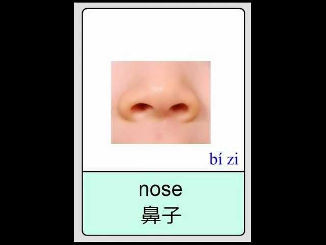 Mandarin Chinese Flashcards - Body Parts 普通话闪卡-身体