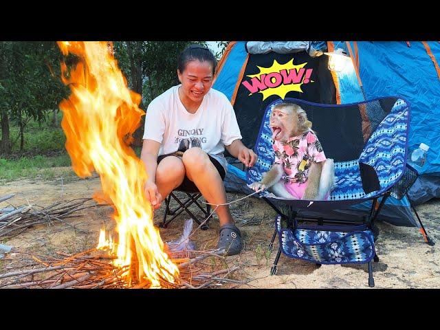 Monkey Lyly is excited to light a campfire and roast sweet potatoes with her mother.