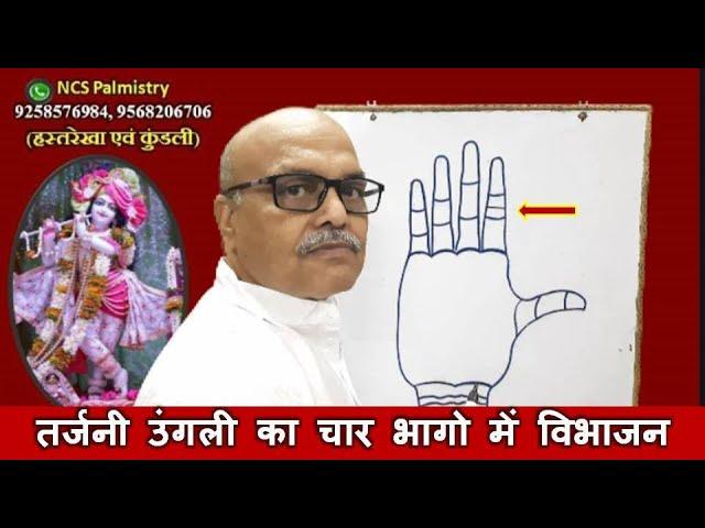 तर्जनी उंगली का 4 भागो में विभाजन |Tarjani ungali/Index Finger in palmistry| Rahu Lines in Palmistry