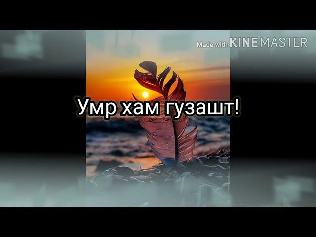 Суханхои калб