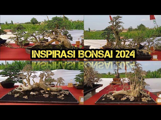 Inspirasi Bonsai Berkarakter Di Kontes Bonsai Kediri 2024