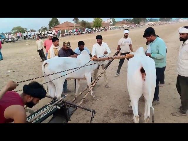 aastaa pat   soyeb  patel nandi kamkasur aur hardoli wala nata