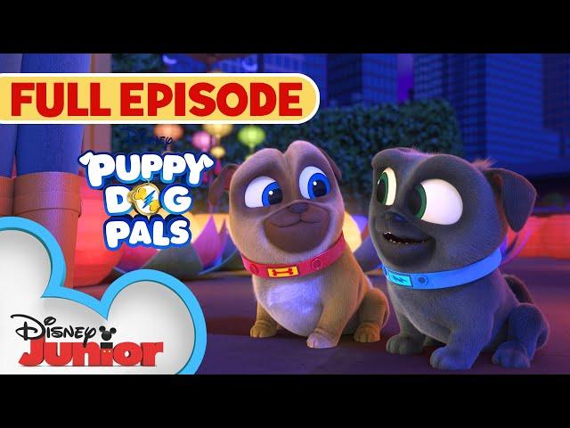 New Year Full Episode  | S4 E4 | Puppy Dog Pals | @disneyjr