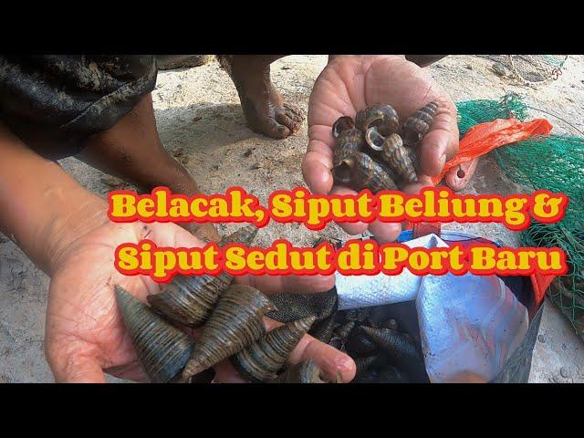 Tajur Belacak di Port Baru // Misi 100 ekor diteruskan // Kelanang #gengdunia #fishing