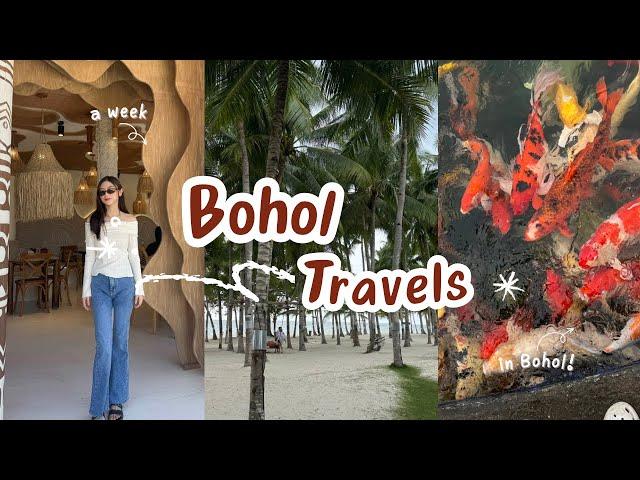 bohol travel vlog '24 ˶ˆ꒳ˆ˵ | the highlights 