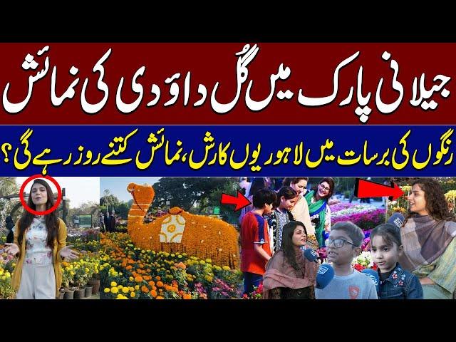 Jilani Park Lahore Blooms with Beauty! Citizens Enjoy Colorful Flowers Exhibition | Samaa TV