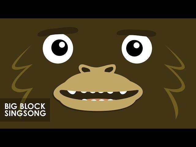 Big Block Singsong | Big Foot