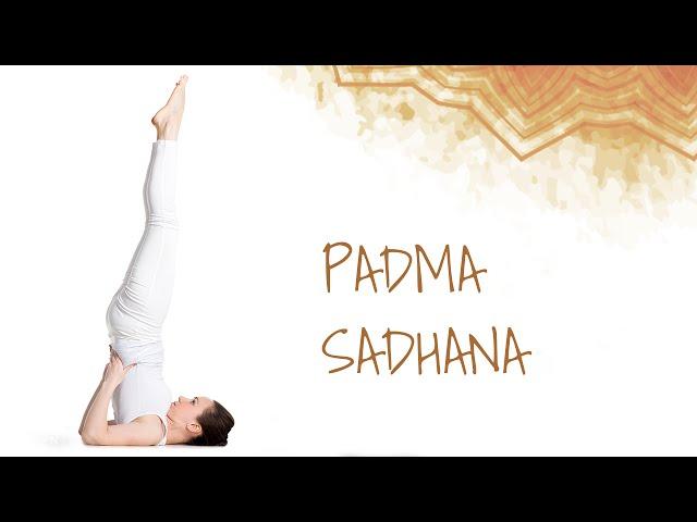 Padma Sadhana | Yoga for Immunity | Yoga for Stress Relief | Sri Sri Yoga