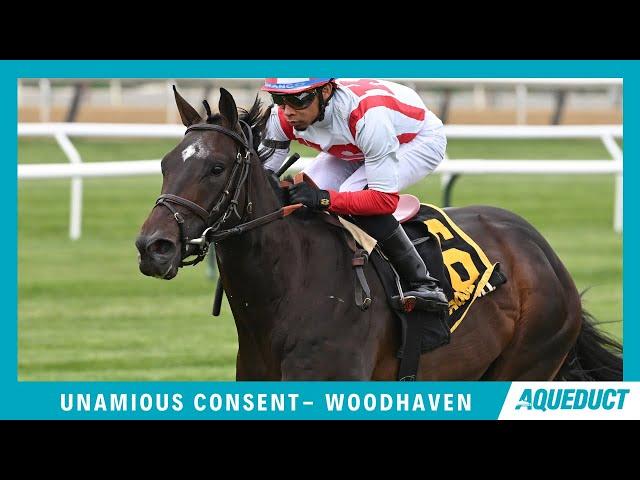 Unanimous Consent - 2022 - The Woodhaven