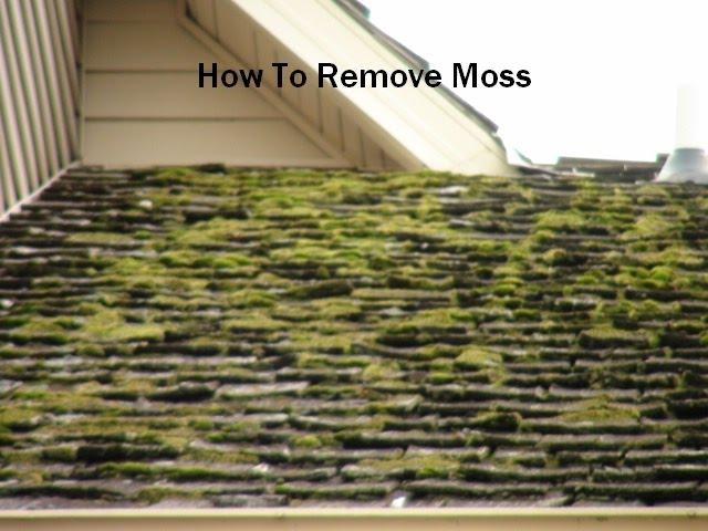 How to Remove Moss from Cedar Roofs Cedar Roof Cleaning (Wood Roof Maintenance)