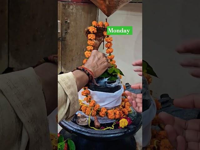 Monday ko bhagwan ki seva ##totalbhakti