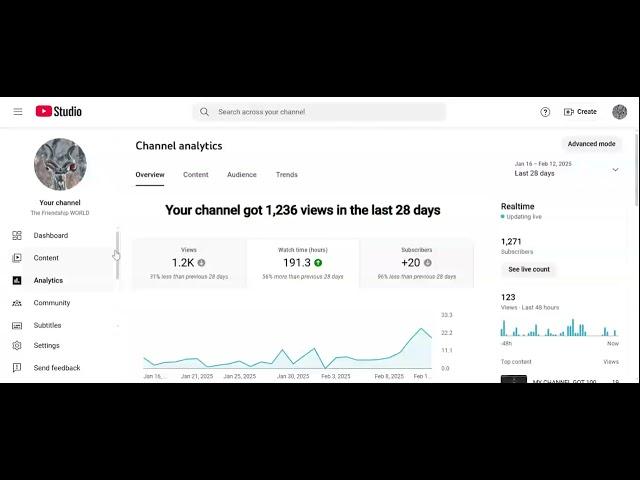 Latest Update Review of My Channel Performance on February 13,2025 | YouTube studio Reviews