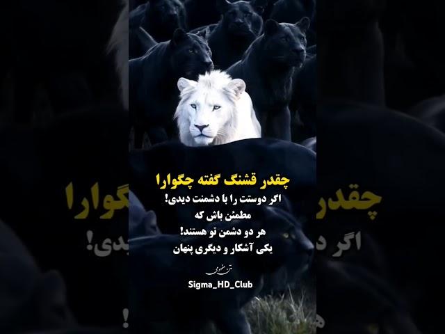 وقتی دوست در لباس دشمن ظاهر میشود! #میرویس_فضلی #توسعه_فردی #انگیزشی