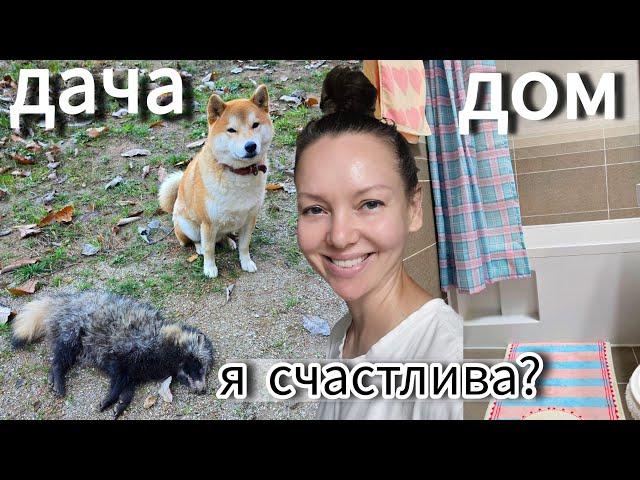 Тоёка охотник и новинки для ванной комнаты / KOREA VLOG