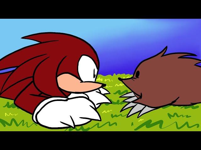 Knuckles Meets an Echidna