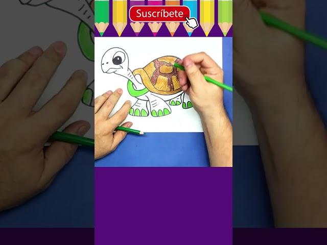 Como dibujar una TORTUGA y colorear