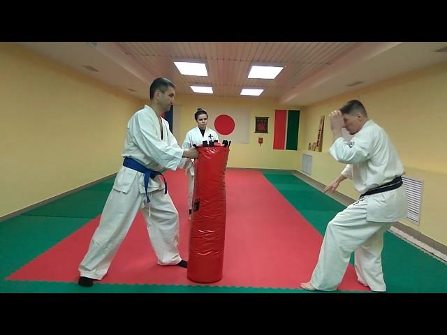 Ushiro-Geri (shihan Robert Hatmullin) Kazan