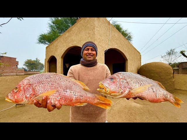 Fish Fry Recipe | Masala Fish Fry | Lahori Fish Fry Homemade Marinate and Freeze for Winters