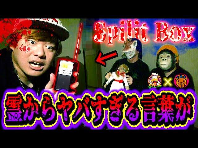 【心霊】キリンさん絶叫…事故物件『開かずの間』でスピリットボックスを使用したら完全に霊が会話をしてきた。【コラボ】