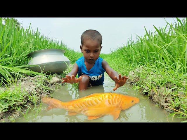 Wow!!Little boy hunting big fish by hand~ Traditional hand fishing in mud water~(Part~07)