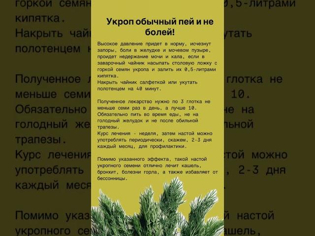 Укроп #здоровыйобразжизни #красотаздоровье #полезныесоветы #shortsvideo