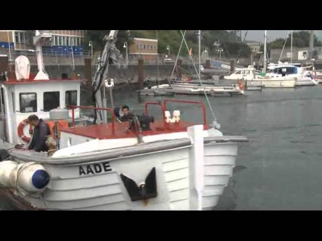 50 Jahre Helgoland Reede Langzeitdatenreihe - Der Jubiläumsfilm