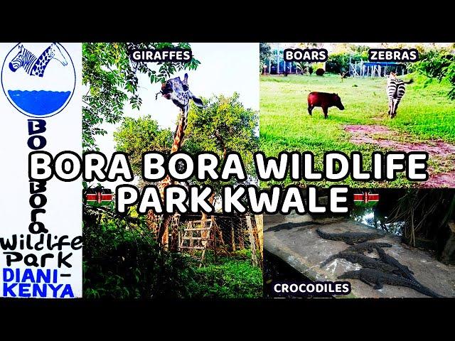 Our First Ever YouTube Video! Exploring the Bora Bora Wildlife Park in Diani, Kenya