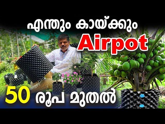 എന്തും കായ്ക്കും AIRPOT | ഡ്രമ്മുകള്‍ ഒഴിവാക്കൂ |50 രൂപ മുതല്‍ | MiracleFarmHouse