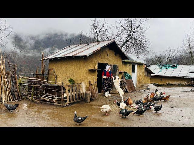 Rainy Day in Rural Life: Cooking Traditional Meatballs