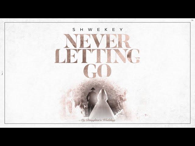 יעקב שוואקי Yaakov Shwekey - Never Letting Go